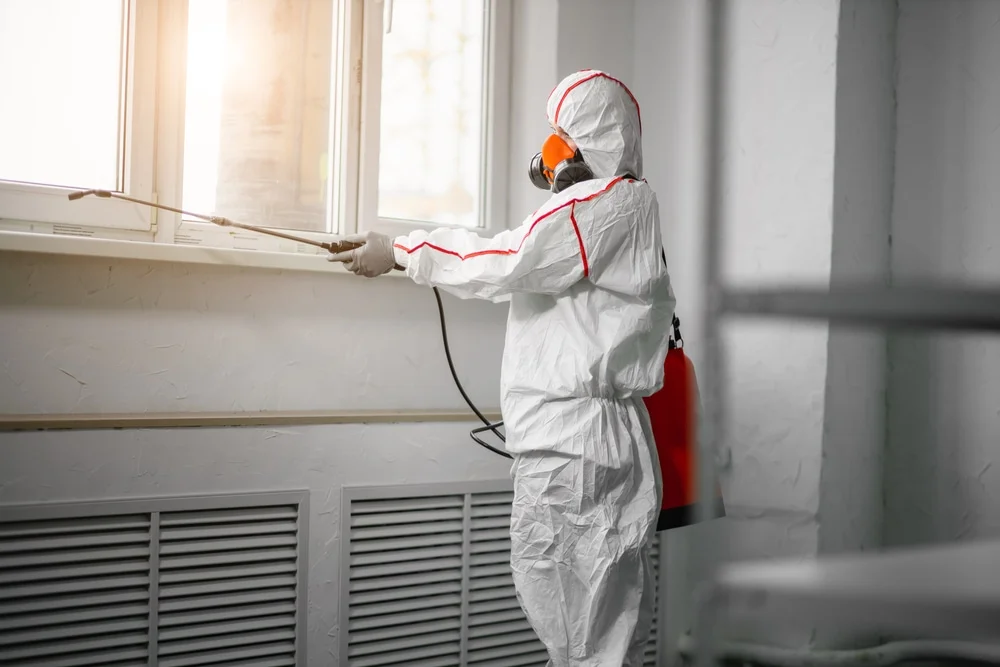 Professional mold remediation services in Evant, TX